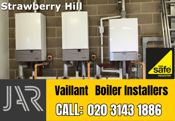 Vaillant boiler installers Strawberry Hill